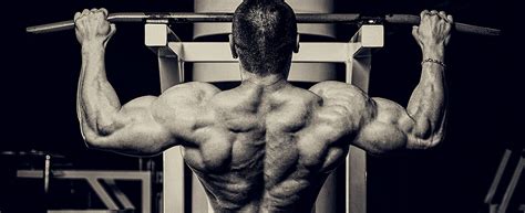 The Truth About Pull-Ups - Bigger Stronger Leaner - Forums - T Nation