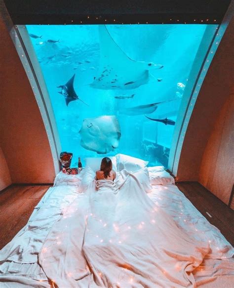 Underwater Ocean Suite in Singapore. : r/pics