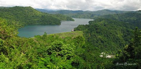 angat dam – Wild Bird Club of the Philippines