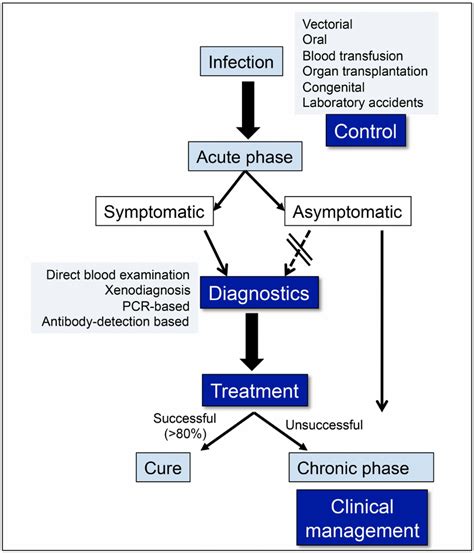 Challenges in human Chagas disease: control, diagnosis, treatment, and... | Download Scientific ...