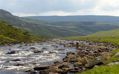 Fly Fishing River Tees Teesdale