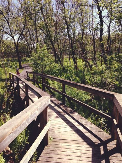 A Sunny Afternoon At The Warkworth Lilac Festival: Warkworth, Ontario | Roadtrip! in 2019 | Cat ...