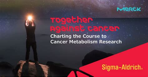 Leslie Clavé-Dreher on LinkedIn: Cancer Metabolism Research-BR-MK.pdf