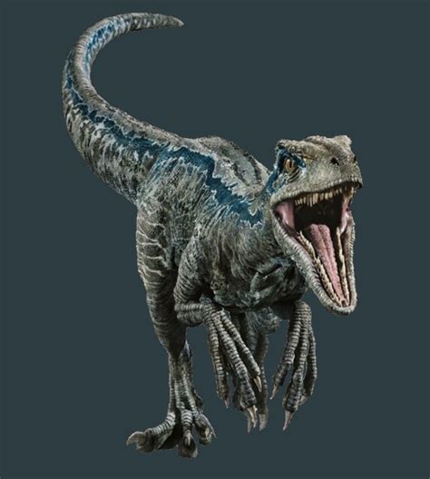 Jurassic World Fallen Kingdom full photo of the Velociraptor | Blue ...