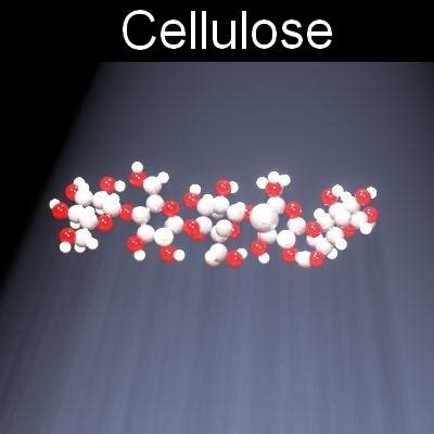 molecule cellulose 3d model