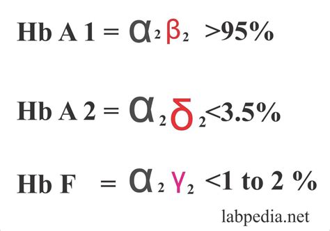 Haemoglobin – Part 1 – Hemoglobin (Hb) – Labpedia.net