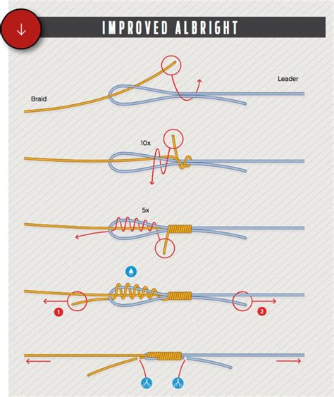 How to tie an improved albright fishing knot illustration | Nó de ...