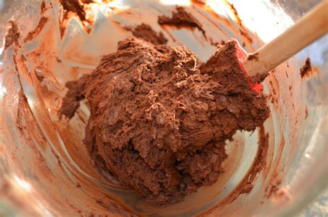 Playing with Flour: Soft and chewy chocolate gingerbread cookies