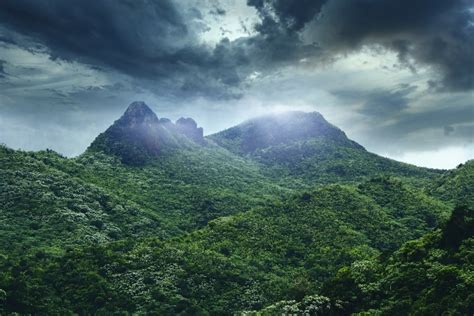 El Yunque National Forest, Puerto Rico (2024 Guide)