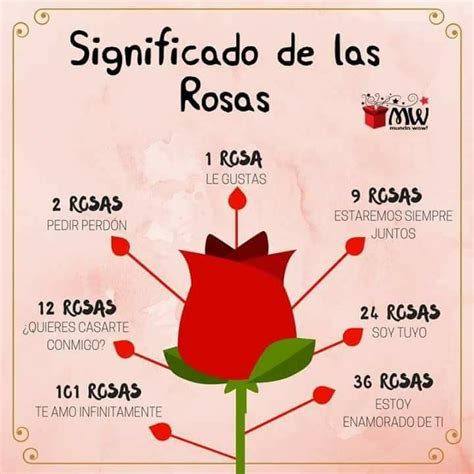 Significado de las rosas | Language of flowers, Idea creativas, Tutorial