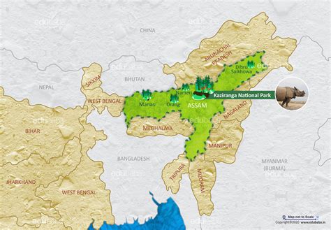 Kaziranga National Park | Definition, Map & Facts for Exam – EDUBABA