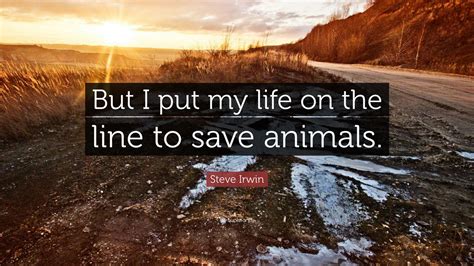 Steve Irwin Quote: “But I put my life on the line to save animals.”