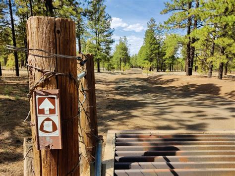 Hiking the Arizona Trail: Answers to Essential Questions | Exploring Wild