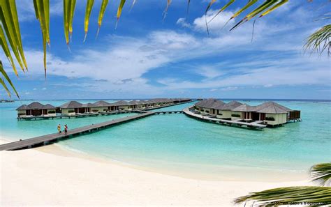 Paradise Island Resort Maldives Images | Zoom Wallpapers