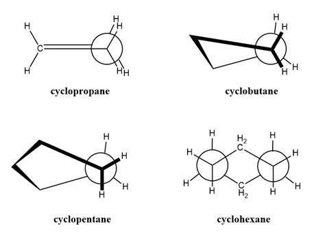 Organic Chemistry: Structure and Function - 9781319079451 - Exercise 7 | Quizlet