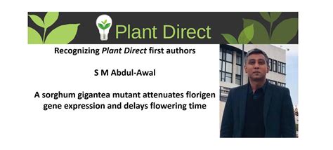 Plantae | Recognizing Plant Direct authors: S M Abdul-Awal | Plantae