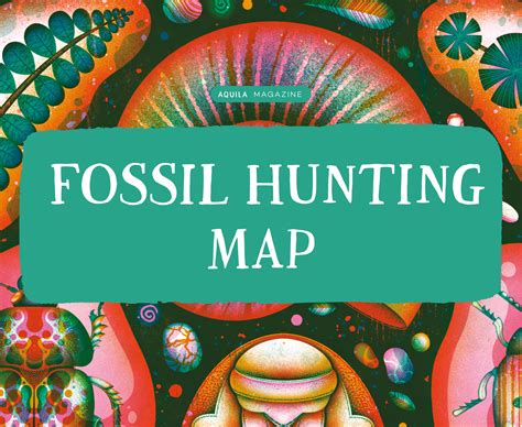 UK Fossil Hunting Guide - AQUILA Blog