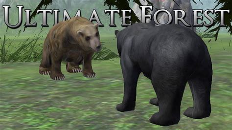 Defending the Den Against Grizzly Bear Invaders!! • Ultimate Forest Simulator - YouTube