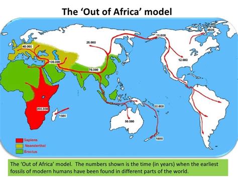 Human Evolution