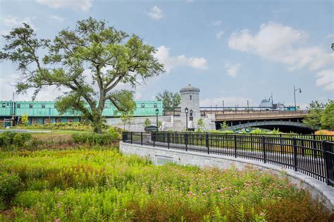 Longfellow Bridge Wetland - Offshoots