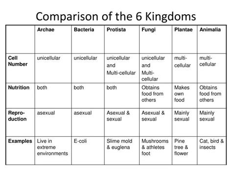 PPT - Comparison of the 6 Kingdoms PowerPoint Presentation, free download - ID:2436285