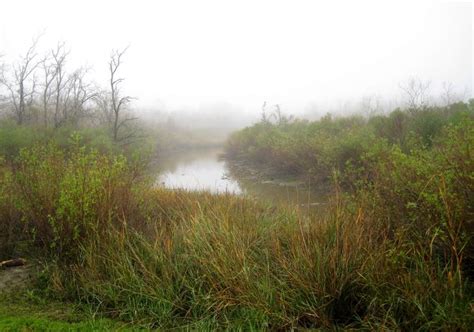 Baytown Nature Center Hike 12-18-2008 - Baytown, Texas