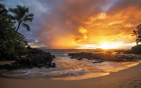 Download Horizon Cloud Sea Ocean Palm Tree Beach Nature Sunset HD Wallpaper