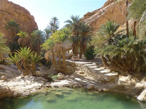 oasis gabes | Beautiful places nature, Gafsa, Tunisia