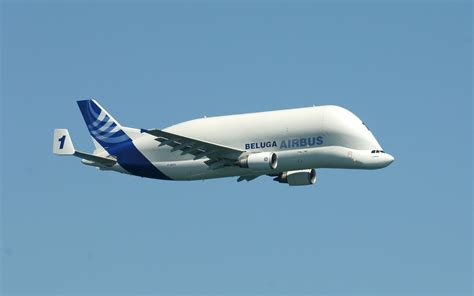 Airbus Beluga Wallpapers - Wallpaper Cave