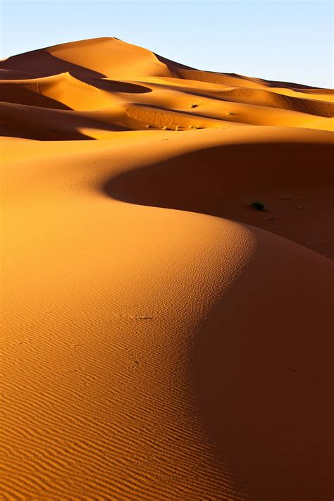 Morocco's 10 best natural wonders - Lonely Planet