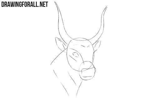 How To Draw A Bull at How To Draw