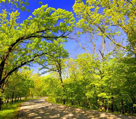 Springbrook State Park (Guthrie Center) - Lohnt es sich? (Mit fotos)