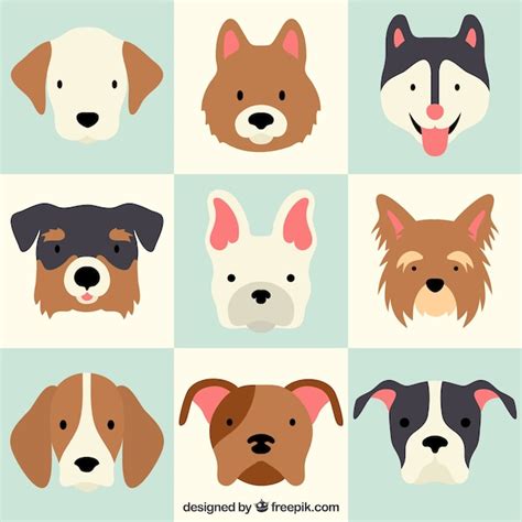 Dogs Free Vector Graphics | Everypixel