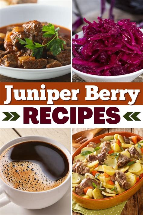 10 Juniper Berry Recipes You'll Love Trying - Insanely Good