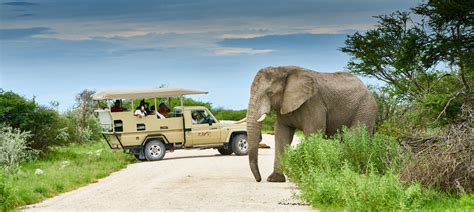 Namibia Wildlife Resorts – Etosha National Park - this is namibia