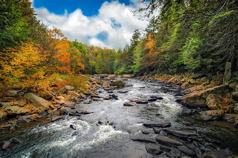 Wild Appalachian River Photograph by Patrick Wolf | Fine Art America