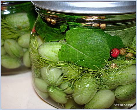 Cucamelon Refrigerator Pickles - Glamorosi Cooks