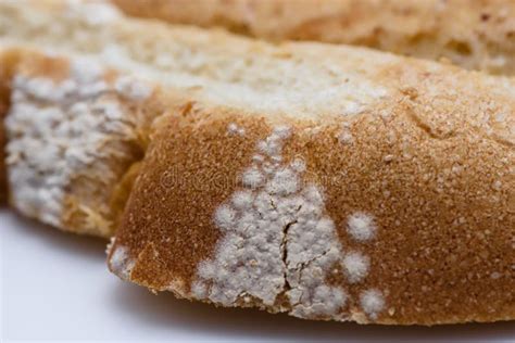 Slice of Bread Stacked with White Mold Macro Stock Photo - Image of cake, macro: 92061232