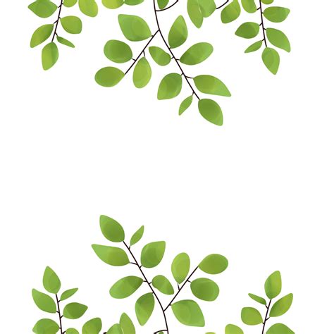 Aesthetic leaf illustration no background 21909554 PNG