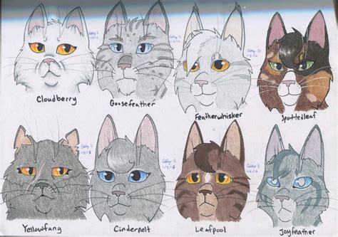 ThunderClan medicine cats by gabbycat17 on DeviantArt