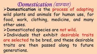 Domestication of Crop plants | PPT