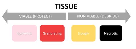 Nursing guidelines : Wound assessment and management