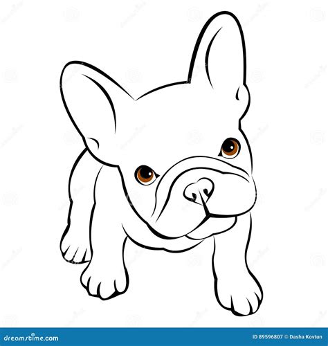 Bulldog Dog Animal French Vector Illustration Pet Breed Cute Drawing Puppy Stock Vector ...