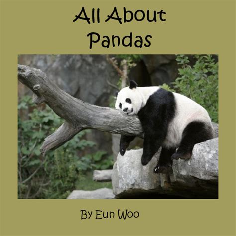 Panda | Book 287697