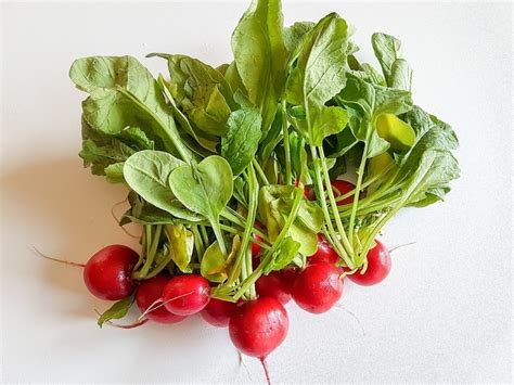 Radish Harvesting; Radish Plant Care; Radish Facts | Gardening Tips