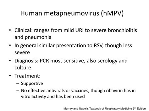 PPT - Viral Pneumonia PowerPoint Presentation, free download - ID:3653174