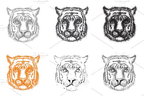 Set of Abstract Tiger | Custom-Designed Illustrations ~ Creative Market