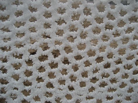 Free Images : snow, cold, winter, white, texture, flower, frost, pattern, frozen, material ...