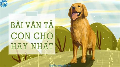 Bài văn tả con chó lớp 4 ngắn gọn hay nhất