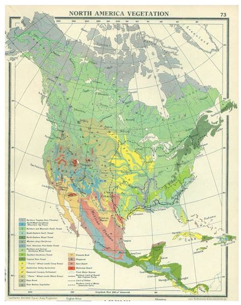 NORTH AMERICA Map, 1950s Countries Nations Atlas Antique Map, 10 1/2 X ...